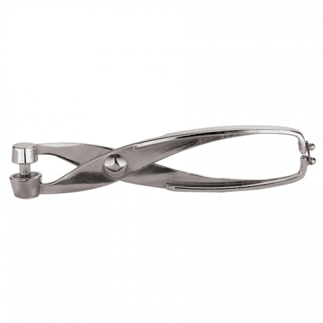 Dénoyauteur Pour Cerises Et Olives En Alliage - 18 Cm - Facile à Nettoyer, Design élégant