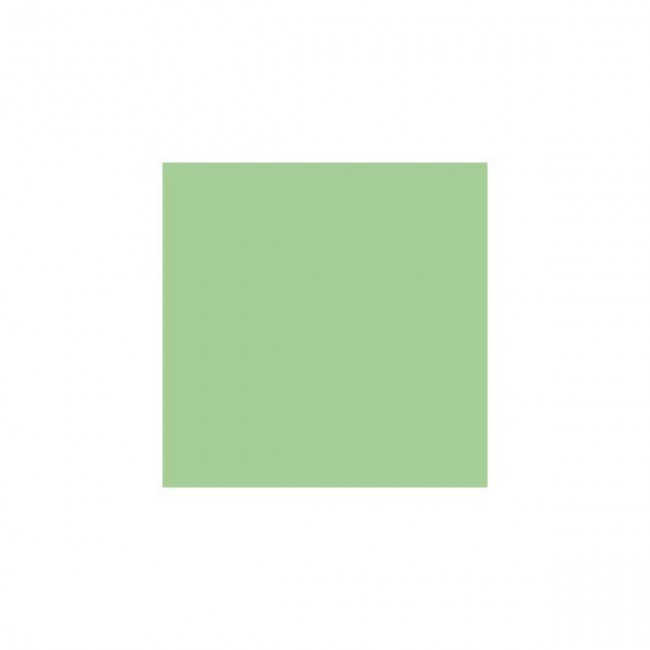 Serviette vert anis en papier tissu 1 pli 33 x 33cm - Lot de 100 - Serviettes - AZ boutique
