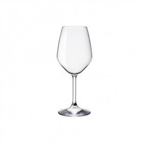 Verre à vin blanc 43.5cl transparent - Lot de 2