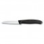 Couteau d’office lame dentee 8cm - swissclassic - victorinox