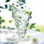 Coupe à glace haute 27cl en verre pressé - Lot de 6 - Circée