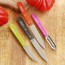 Coffret 4 couteaux Les Essentiels - Opinel