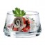 Verrine Vertigo 22cl - Durobor - Lot de 6 - Vertigo - Durobor